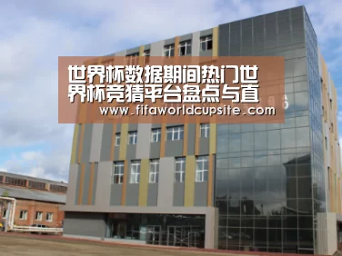 俄罗斯克麦罗沃洲办公楼